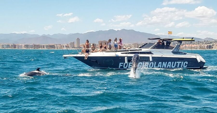Fuengirola: Dolphin Watching by Yacht with Snacks and Drinks - Snacks, cava, and the relaxed onboard vibe