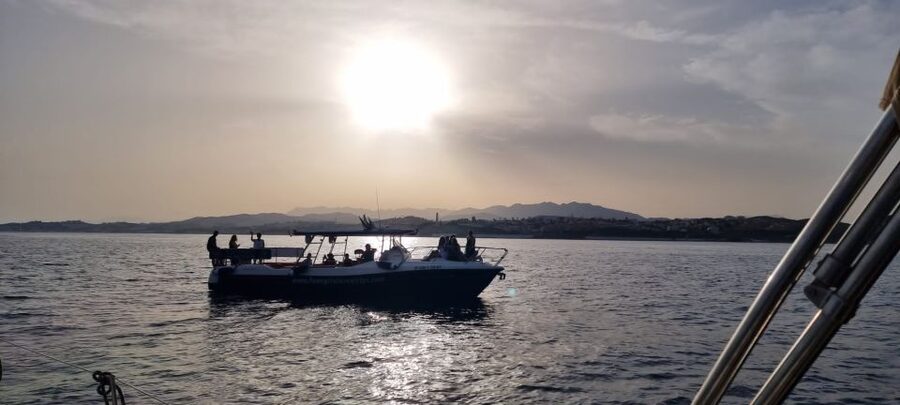 Fuengirola: Fantastic Dolphin Watching Yacht Tour with Drink - How Dolphin Searching Works (And Why the Skipper Matters)