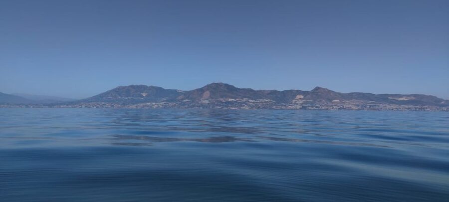 Fuengirola: Fantastic Dolphin Watching Yacht Tour with Drink - What to Do When You Spot Dolphins