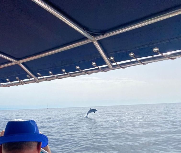 Fuengirola: Fantastic Dolphin Watching Yacht Tour with Drink - Drinks, Snacks Vibe, and Keeping Kids Happy