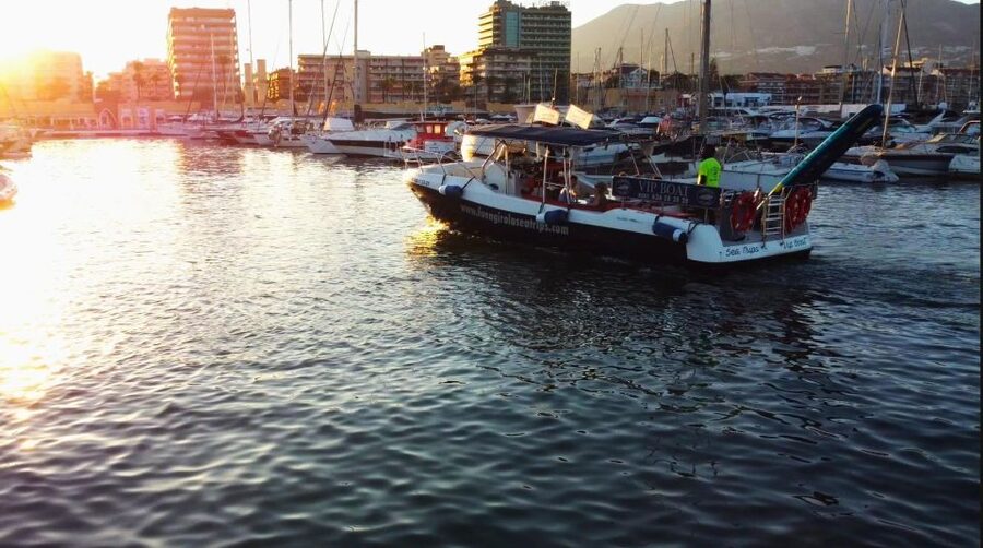 Fuengirola: Fantastic Dolphin Watching Yacht Tour with Drink - Duration and Timing: Why 2 Hours Works