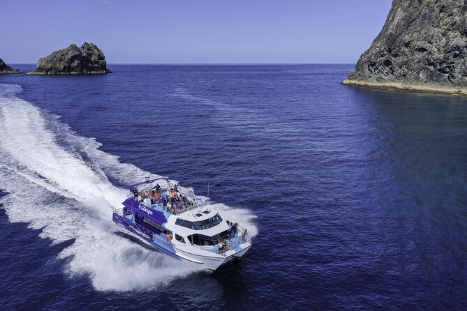 Full-Day Bay of Islands Tour by Vigilant Yacht Charters - Sailing back to Russell: wildlife spotting and one last sail moment