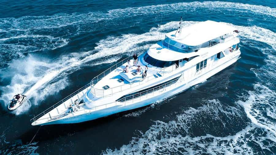 Gold Coast: Luxury Whale Watching Tour - Boarding at Mariner’s Cove: The Quick Way to Get On Time