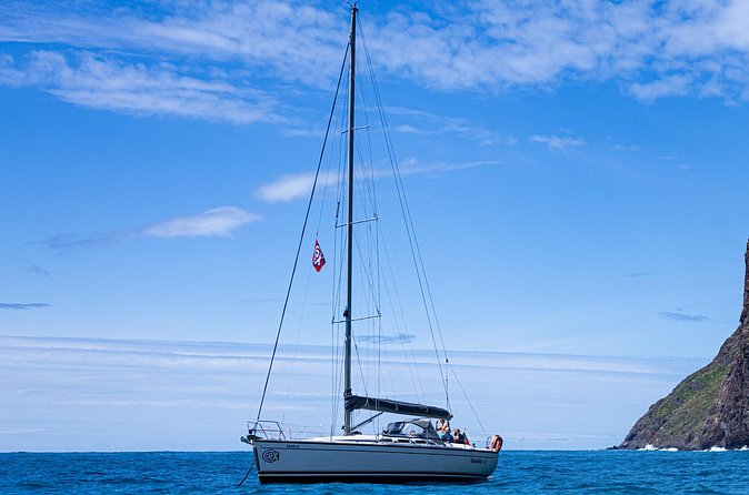 Half-Day Boat Trip Madeira Funchal- Private Yacht Snacks & Drinks - What the 4 Hours Feel Like (and How to Plan Your Day)