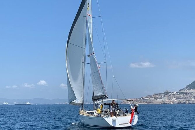 Half day charter on private sailing yacht in Gibraltar - Dolphins in the Bay of Gibraltar: why this charter attracts repeat trips
