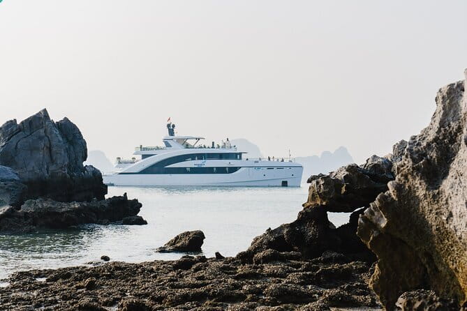 Halong Bay Day Trip Explore Caves, Kayak & Lunch by Saquila Yacht - Quick highlights before you go