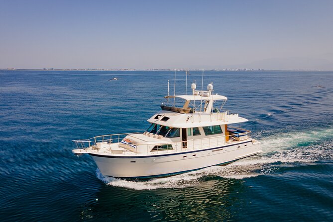 Hatteras 58-61' Luxury Yacht in Puerto Vallarta & Nuevo Nayarit - Wildlife and views: what you can actually expect