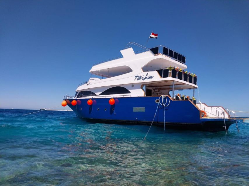 Hurghada: Elegance Yacht Cruise To Orange & Magawish island - Magawish Island: swim time, snorkel time, and the dolphin question