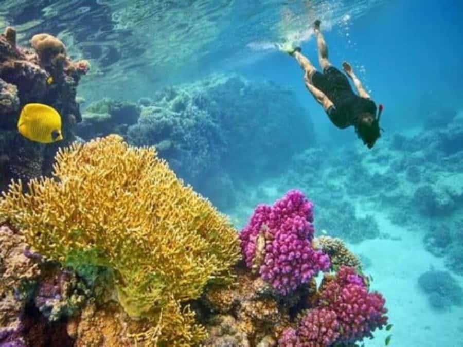Hurghada: Luxury Private Yacht with Optional Lunch & Drinks - Price and value: what $390 for up to 8 really buys you