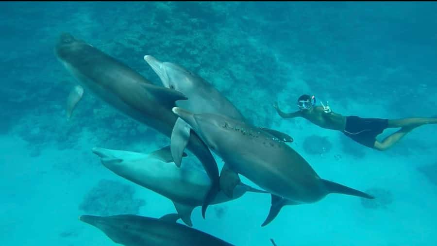 Hurghada: Luxury Yacht Trip with Personal Crew and Chef - The crew names you’ll likely hear, and why that’s a big deal