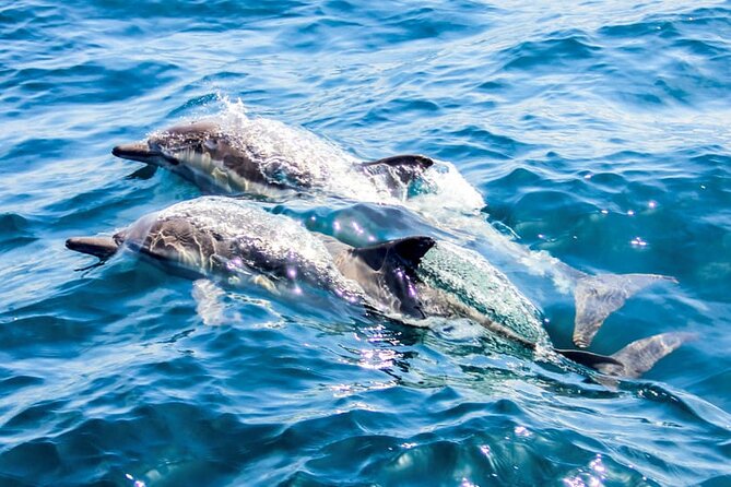 Ierapetra Chrissi Island Luxury Yacht Cruise with Meal - Who This Cruise Suits (and Who Might Want Another Option)