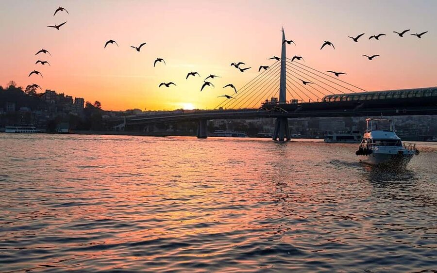 Istanbul: Bosphorus Yacht Cruise with Golden Horn View - Meeting points, bringing your ID, and the small rules