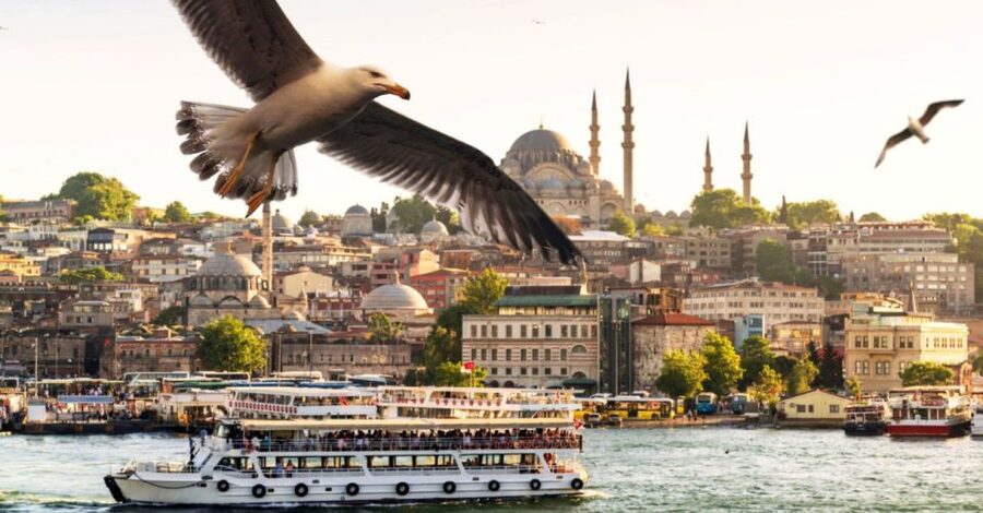 Istanbul: Private Bosphorus Cruise By Luxury Yacht - Galata Tower from the Water: A Shortcut to a Landmark You’ll Spot Later