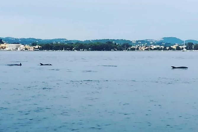 Kassiopi Private Daily Sailing Yacht Cruise - Weather reality: what happens when the sea doesn’t cooperate