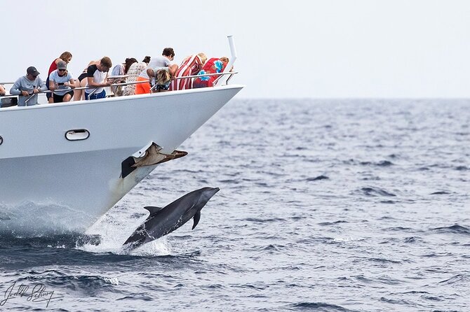 Klein Curacao Superyacht and Beach house - Snorkeling Safari with Included Gear: How to Get the Most Water Time