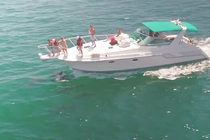 LA: Birthday Special Private Yacht (1 ticket covers 1-6 people) - Who this yacht cruise is best for