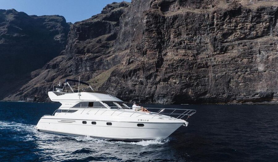 Las Galletas: Private Luxury Yacht Cruise with Lunch - The Whale-Watching Part: How to Make Your Chances Better