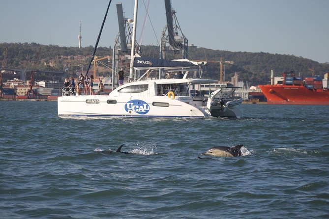 Lisbon: Sunset Cruise With Drinks on Spacious Yacht - Price and value: is about $50.69 a smart use of your evening?