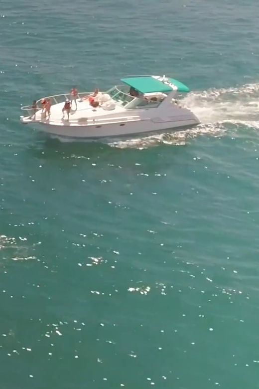 Long Beach: 3hr Private Yacht Trip (1 ticket covers 1-6 ppl) - What to bring for a BYOB yacht picnic (and what to avoid)