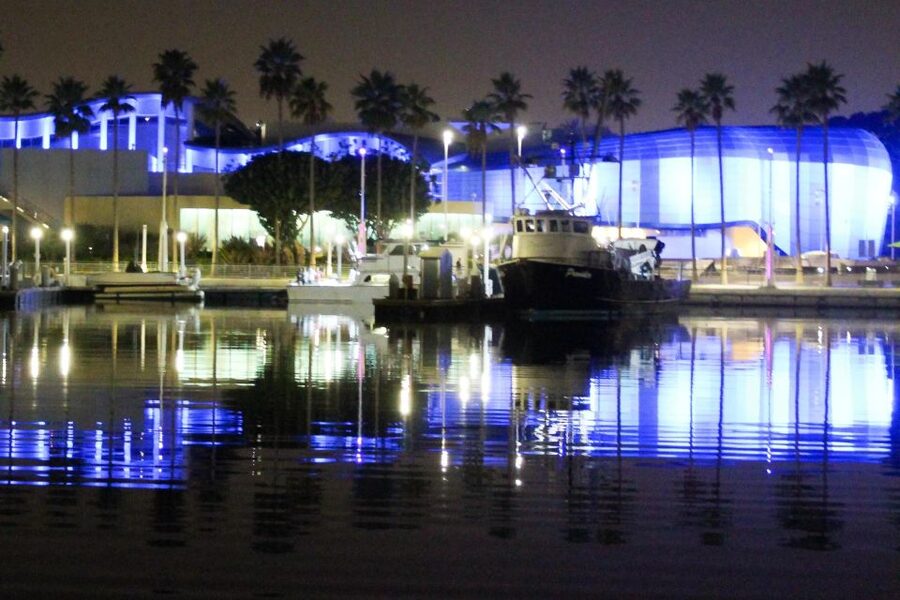 Long Beach: Private Night Yacht Cruise With City Lights - Sea life and water reflections: the scenic payoff