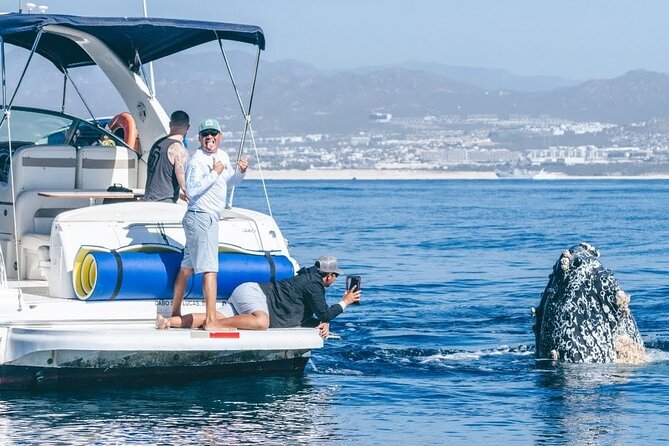 Los Cabos Whale Watching & Snorkel Adventure with Food & Drinks - Key things to know before you go