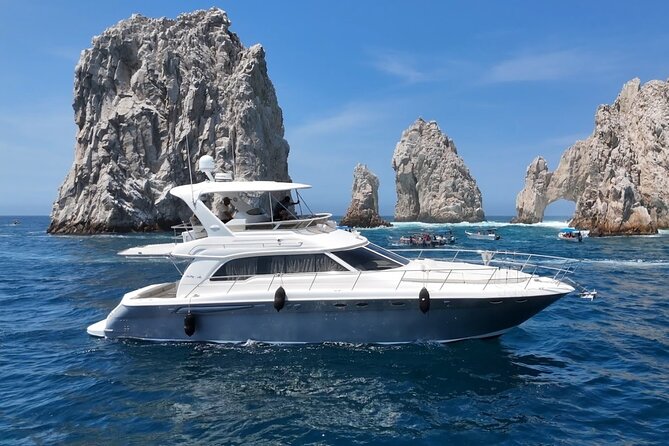Los Cabos Whale Watching & Snorkel Adventure with Food & Drinks - Price and value: is $999 per group actually a deal?