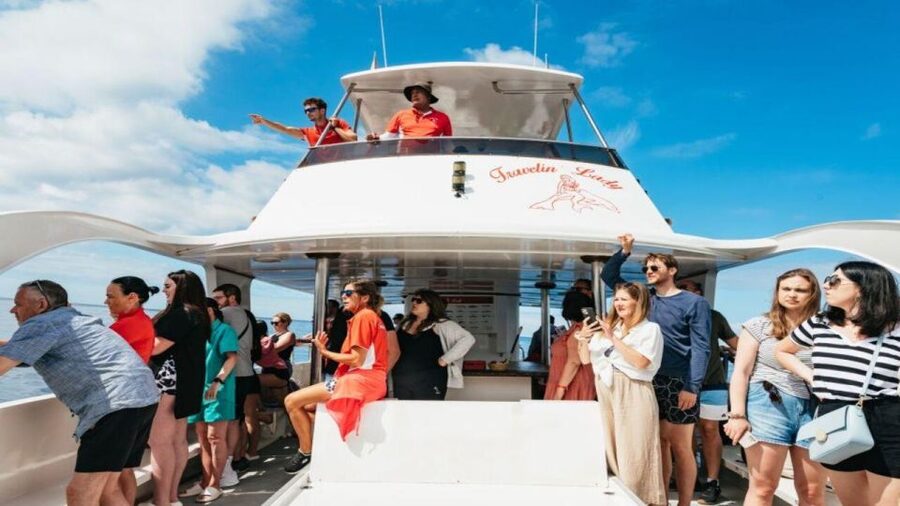 Los Cristianos: Eco Yacht Whale Watching Tour at Sunset - How the sunset timing works off Los Cristianos