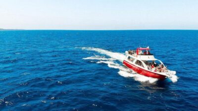 Los Cristianos: Eco Yacht Whale Watching Tour at Sunset - Why the boat’s low, near-water design helps your odds