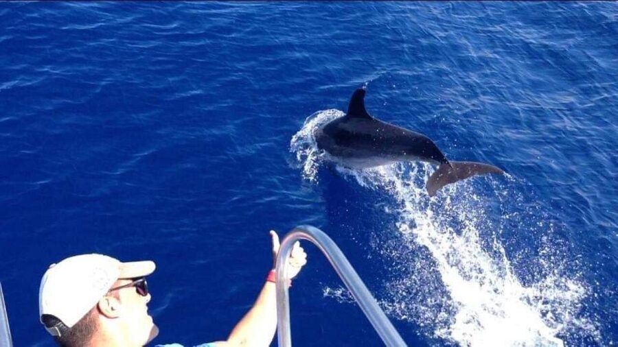 Los Cristianos: Eco Yacht Whale Watching Tour at Sunset - Scenic cruising toward El Teide: it’s not just about the animals