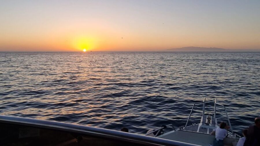 Los Cristianos: Eco Yacht Whale Watching Tour at Sunset - Comfort and clothing: small trip, real weather swings