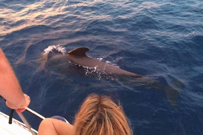 Luxury 3 Hour Yacht Private Charter - Setting sail from Puerto Colón: what “private charter” means here