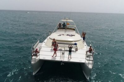 Luxury 3 Hour Yacht Private Charter - Las Galletas wildlife time: whales and dolphins on your terms (and the sea’s)