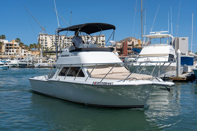 Luxury Private Yacht Charter in Cabo San Lucas Mexico - Onboard comfort that makes a 2-hour charter feel easier