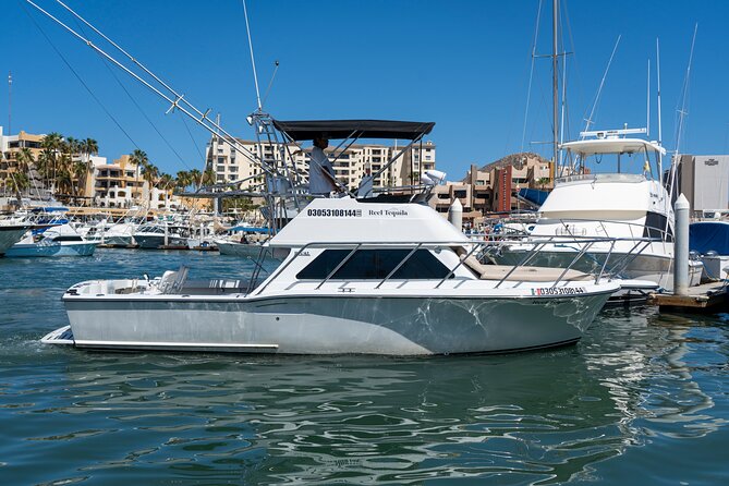 Luxury Private Yacht Charter in Cabo San Lucas Mexico - Price and value: $400 per group (up to 6) adds up well