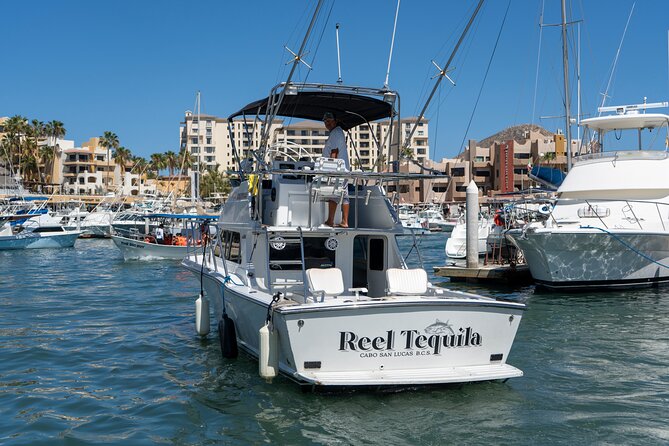 Luxury Private Yacht Charter in Cabo San Lucas Mexico - Weather and schedule: the simple reality of a short water trip