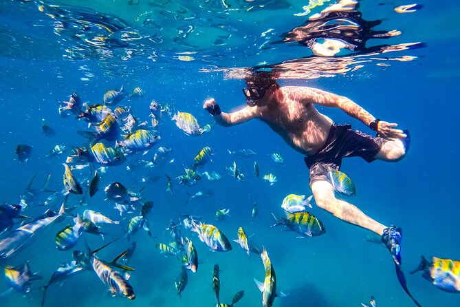 Luxury Yacht & Snorkel with All inclusive Open bar and lunch - Lunch on board: guacamole, shrimp cocktails, fruit, and the sandwich debate