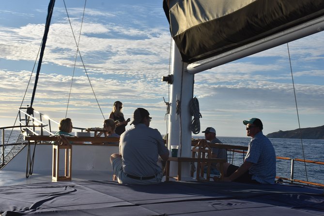 Luxury Yacht Snorkeling & Lunch Cruise from Cabo San Lucas - Wildlife and photo moments: sea lions, fish, and possible whale sightings