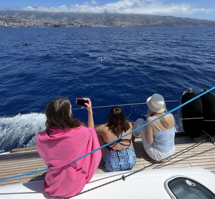 Madeira: Luxury Yacht & Sailing Sunset Tour - Entering the Madeira Yacht Scene at Funchal Marina