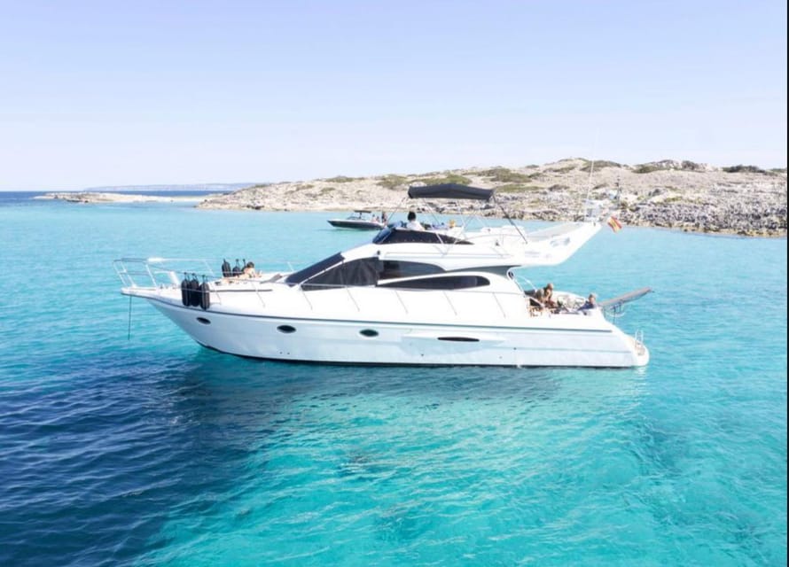 Marbella: Private Cruise in Yacht - Dolphins and the captain’s local style: what you can realistically hope for