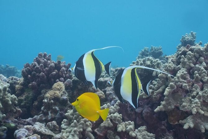 Maui: Molokini and Turtles Luxury Yacht Snorkel - Weather reality: why some days change the plan