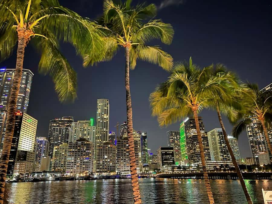 Miami: Party Yacht Cruise with Open Bar and DJ - Check-In, Timing, and Dock Chaos: How to Reduce Your Risk