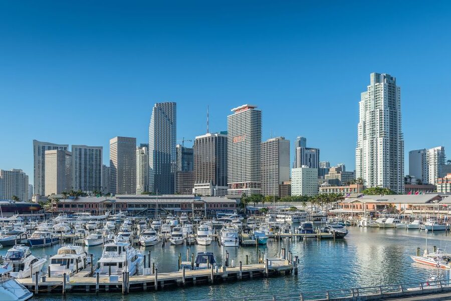 Miami: Private Yacht Cruise with Champagne - The port side moment: cruise ships, scale, and great “wow” angles