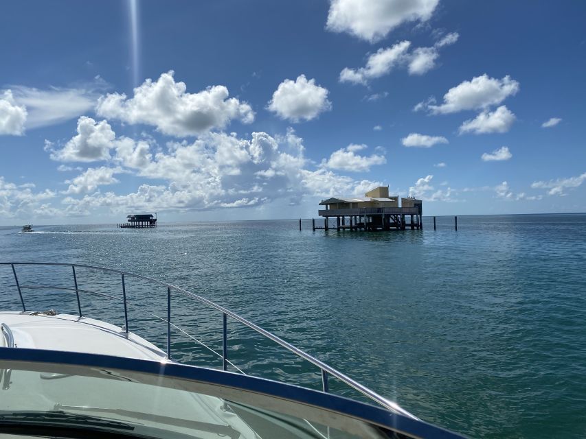 Miami: Private Yacht Rental Tour with Dolphins and Snorkel - Dolphin Watching and Marine Life Viewing (Dolphins, Turtles, Manatees)