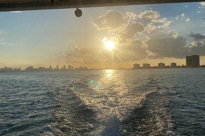Miami Sightseeing Cruise on a Luxury Yacht - The bilingual guide: how the narration helps you see more