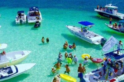 Miami: Snorkeling Adventure in Miami for Beginners Private Yacht - Price and Value at $299: Is It Worth It?