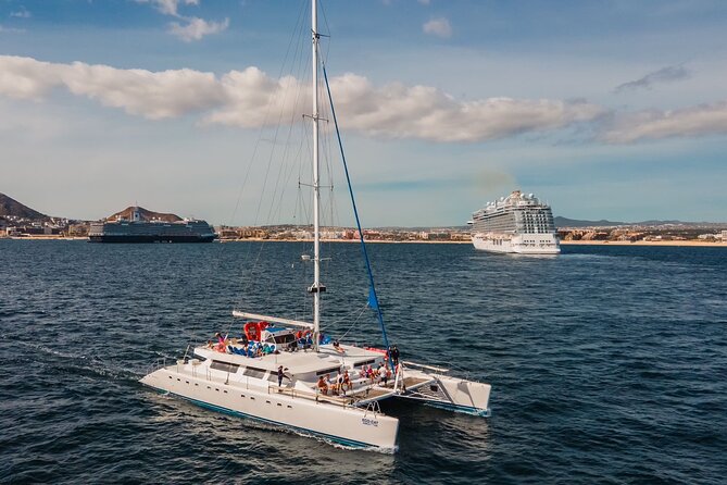 Multimillion Yacht Cabo Cruise Sunset or Snorkel Optional PICKUP! - Whale Watching: Beautiful When It Happens