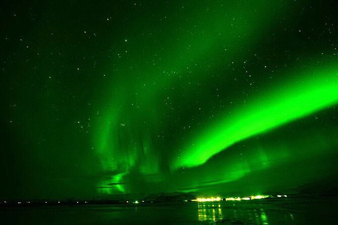 Northern Lights Yacht Cruise in Reykjavik - The wildlife and aurora combo: what your two hours feels like