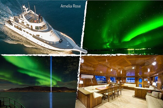 Northern Lights Yacht Cruise in Reykjavik - If the aurora doesn’t show: your free return plan