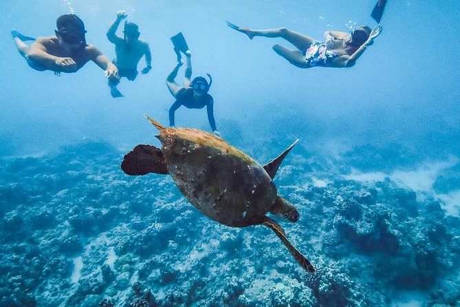 Oahu Small Group Snorkel Tour with Yacht Cruise - Lunch and Open Bar: Fuel You Don’t Have to Think About