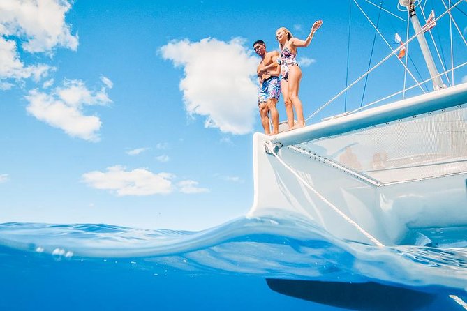 Oahu Small Group Snorkel Tour with Yacht Cruise - Wildlife Time on the West Coast: How the Boat Changes Your Odds